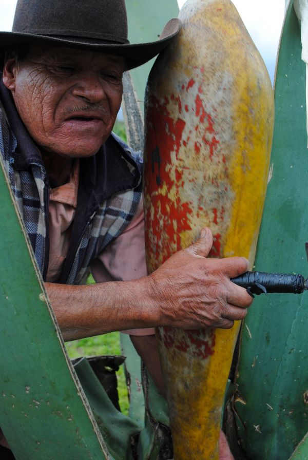 foto:Carlos Ernesto  Bonilla Coria - lo hecho en México