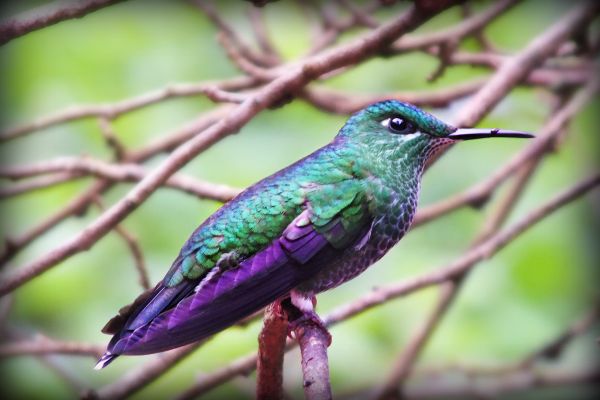 foto:Tanya  Salum Szymanski - lo hecho en México