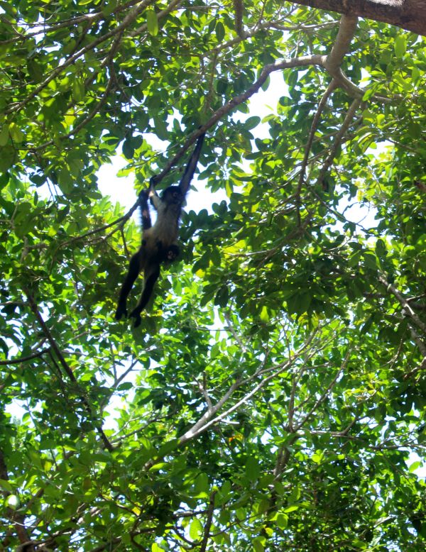 foto:MARIANA NOEMÍ ESQUIVEL  CORTÉS - lo hecho en México