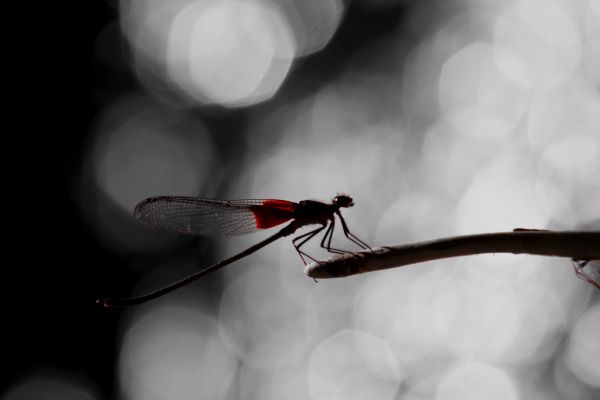 foto:Paulina Cruz Martínez - lo hecho en México