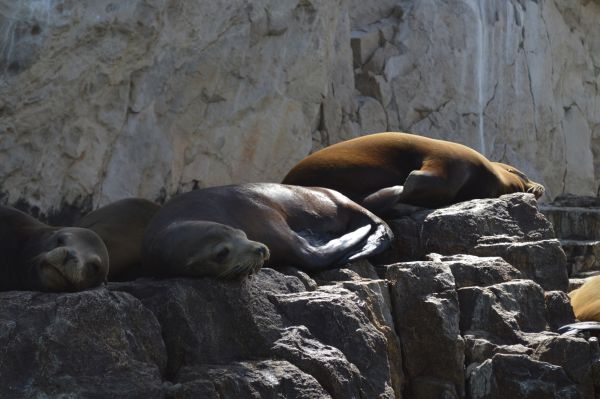 foto:Eduardo  Moreno  Vargas  - lo hecho en México