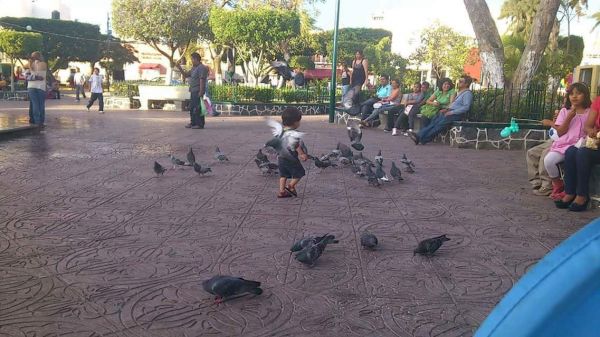 foto:Alma Elia  López  Pérez, - lo hecho en México