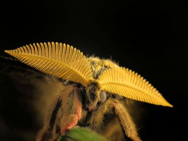 foto:Omar Rangel  Torres - lo hecho en México