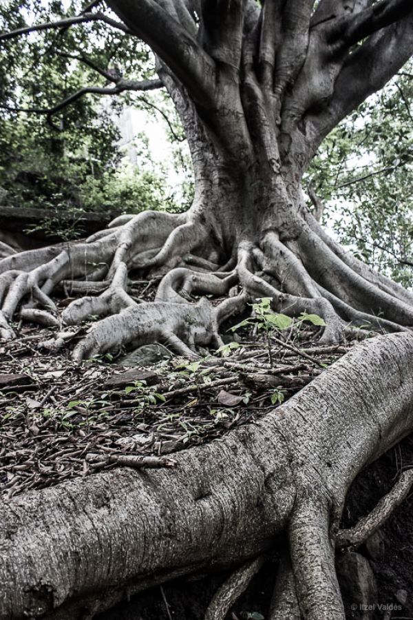 foto:Itzel Valdés Castillo - lo hecho en México