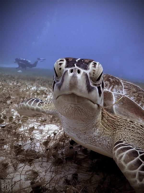 foto:Emilia Acosta Mandagarán - lo hecho en México