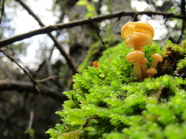 foto:Miriam Moreno Onofre - lo hecho en México