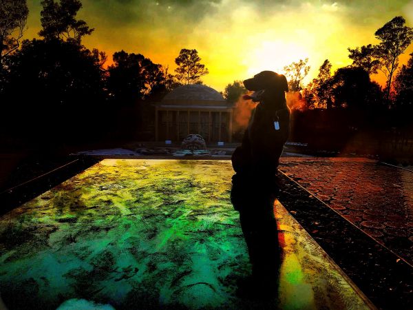 foto:Jesús Antonio  Padilla González  - lo hecho en México