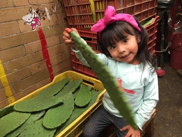 foto:Nalleli  Romero  Blas - lo hecho en México