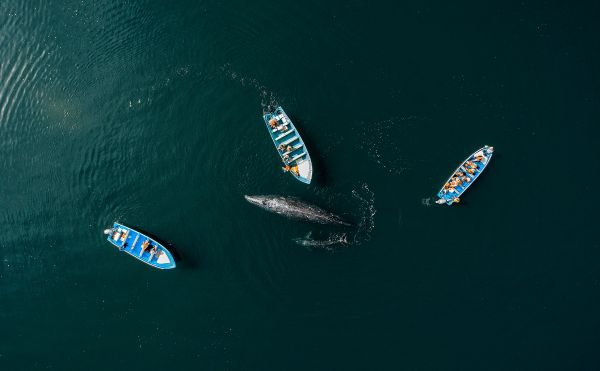 foto:Jose  Ruiz Cheires - lo hecho en México