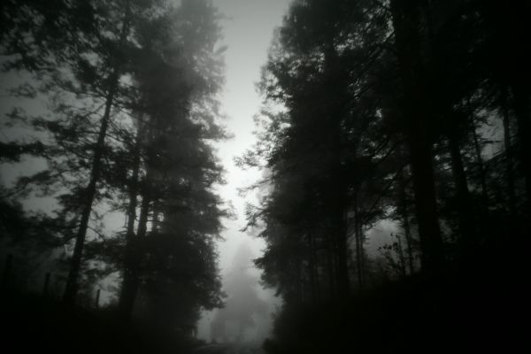 foto:eduardo garcia lugo - lo hecho en México