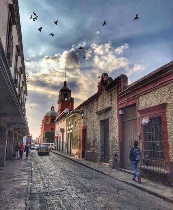 foto:Ana de Wit Vanderwelk  - lo hecho en México