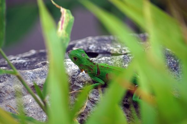 foto:Mauricio López Figueroa - lo hecho en México