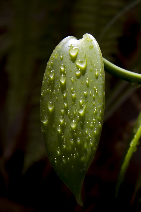 foto:MIRIAM MOLINA SALCES - lo hecho en México