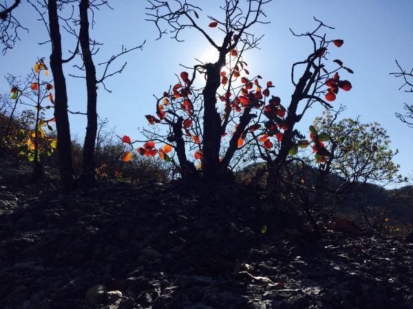 foto:Luis Jasiel Ramírez Guadiana - lo hecho en México