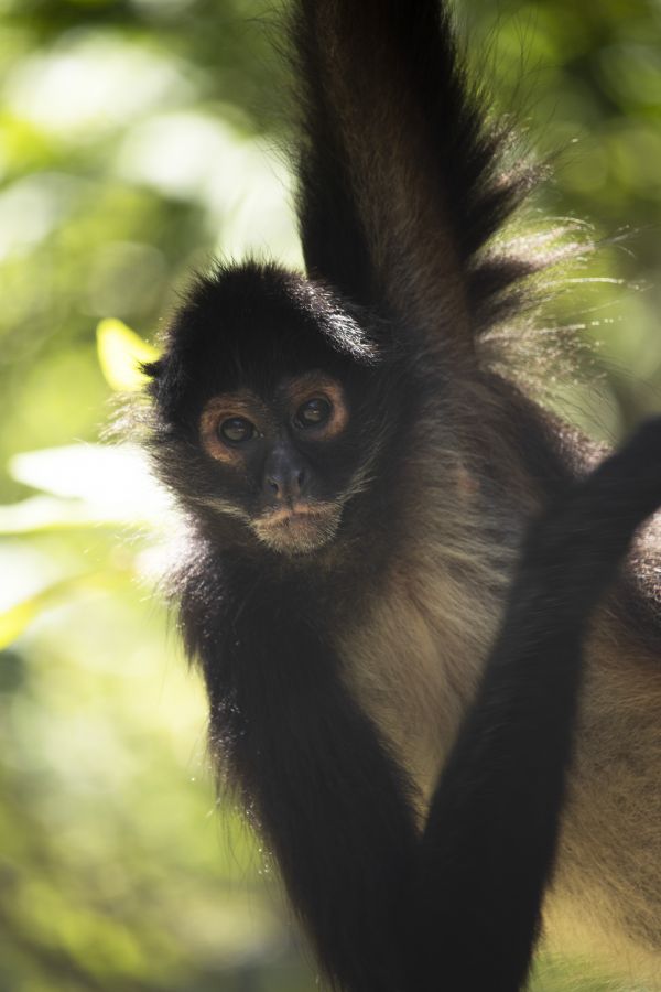 foto:Frida Ortiz Hernández - lo hecho en México