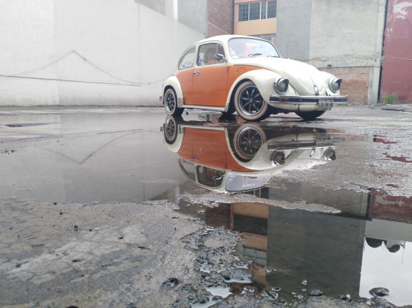 foto:Felipe Serralde Leal - lo hecho en México