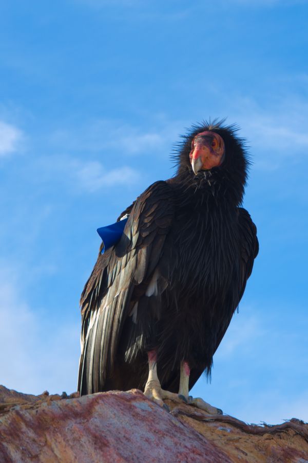 foto:Sergio Alberto Luna Peña - lo hecho en México