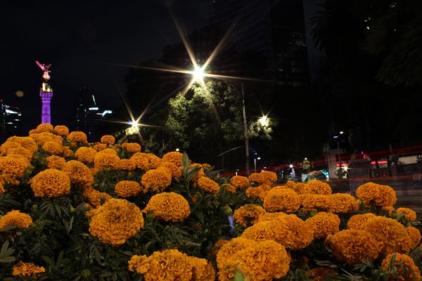 foto:Francisco Emiliano  Velázquez  García  - lo hecho en México