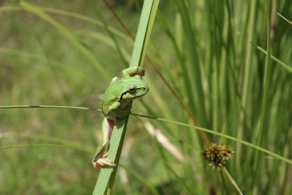 foto:Edgar Mendez Torres - lo hecho en México