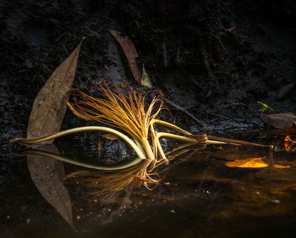 foto:León Felipe Hernández Cañez - lo hecho en México