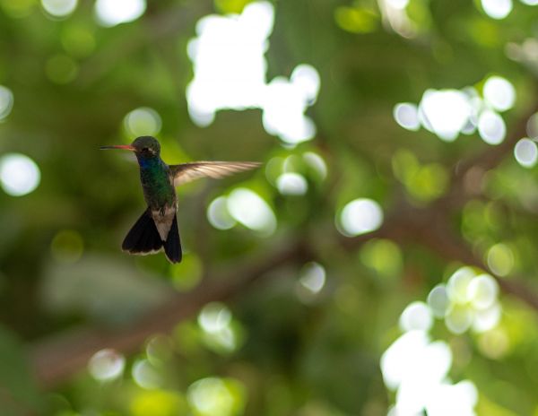 foto:Abril Alejandra Hernández Morales - lo hecho en México