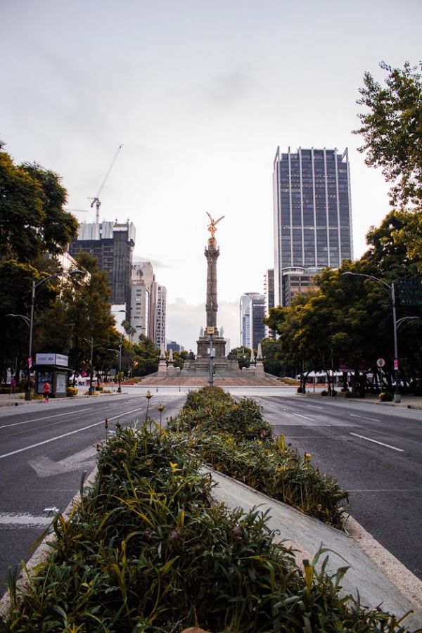 foto:Miguel Angel Moreno Cabrera  - lo hecho en México