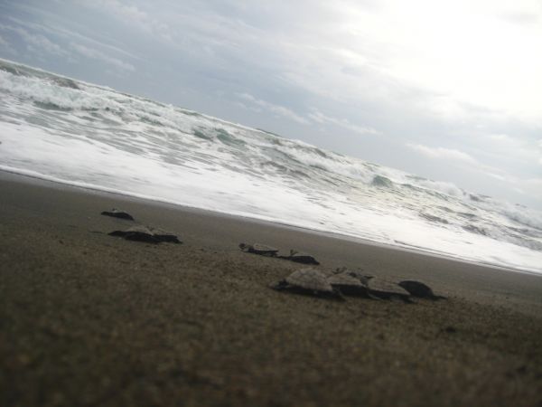 foto:Berenice Elizabeth Romero Olmedo - lo hecho en México