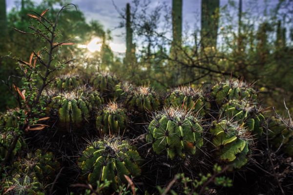 foto:Laura Domínguez  Canseco - lo hecho en México