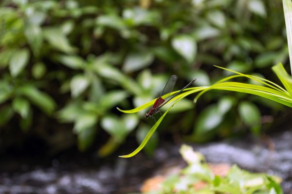 foto:Abraham Columba López - lo hecho en México