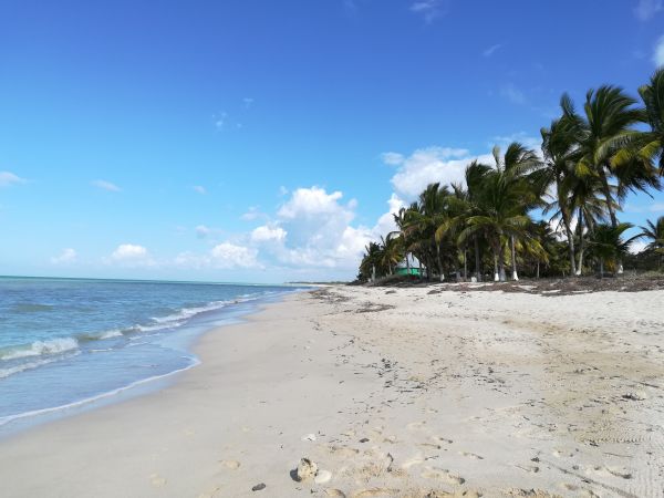 foto:Jenifer  Romero  Ceron  - lo hecho en México