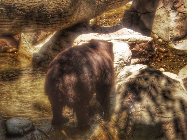 foto:Tereluz Ramírez Moguel Ramíre - lo hecho en México