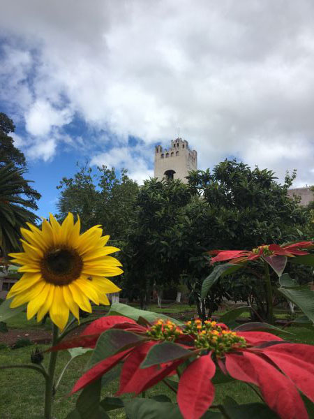 foto:Aram Ibrahim Martínez Valladares - lo hecho en México