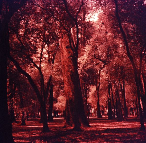 foto:Carlos Alberto León Sandoval - lo hecho en México