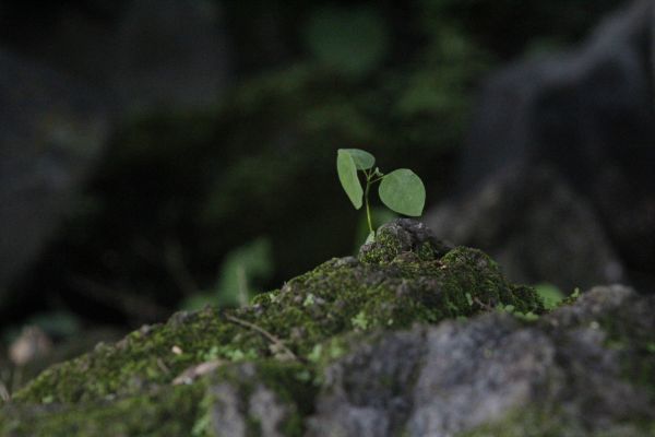 foto:Alfredo  Lepe Curiel - lo hecho en México