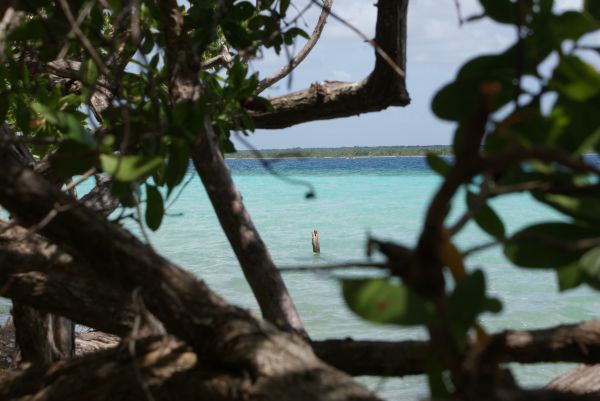 foto:Jooan de Jesus Vega Chan - lo hecho en México