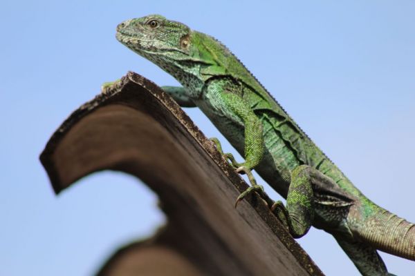 foto:Jorge Iván  Rodriguez  Barrón  - lo hecho en México