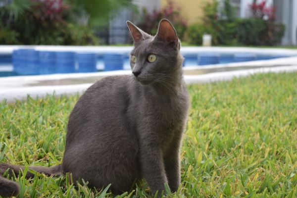 foto:Arisai Cantarell  Wong - lo hecho en México