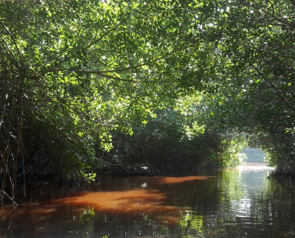 foto:Mariana Torres Pérez - lo hecho en México