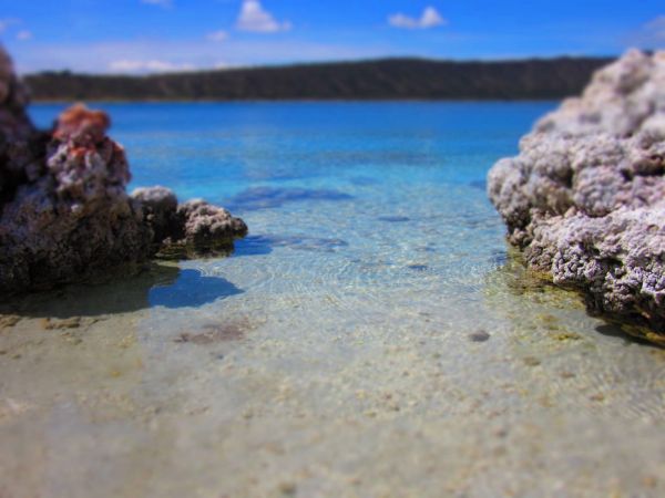 foto:Jorge Alberto Avilés Lendechy  - lo hecho en México