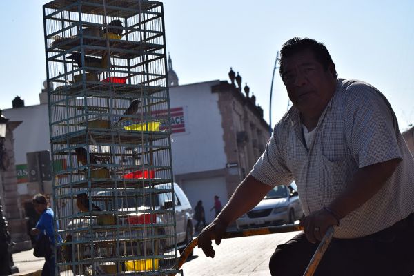 foto:Ana Gabriela Hernández  Arzola - lo hecho en México