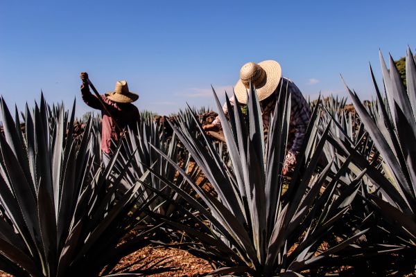 foto:Carla C Díaz Gomez - lo hecho en México