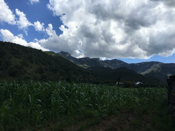 foto:Leticia Molina Noris - lo hecho en México