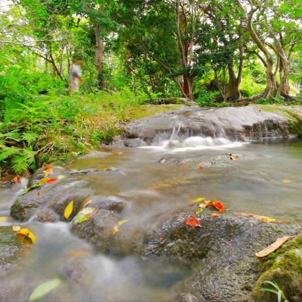 foto:Luis Mario  Fuentes  García  - lo hecho en México