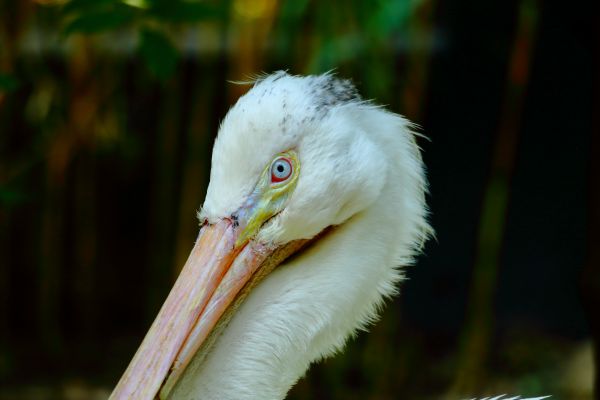 foto:Rita Elena del Castillo Arriaga - lo hecho en México