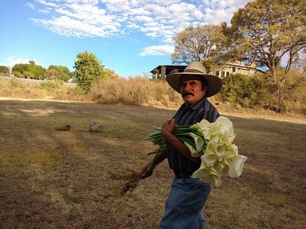 foto:MARIA DE LOS ÁNGELES HERNÁNDEZ VARGAS - lo hecho en México