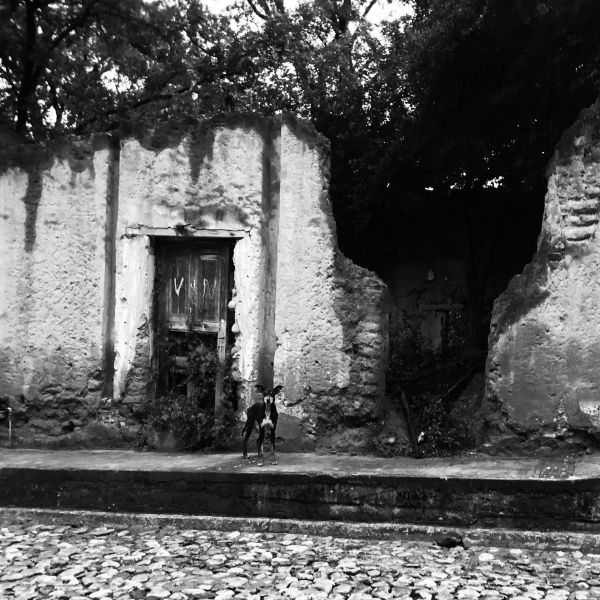 foto:Jesus Armando Martinez Ayala  - lo hecho en México