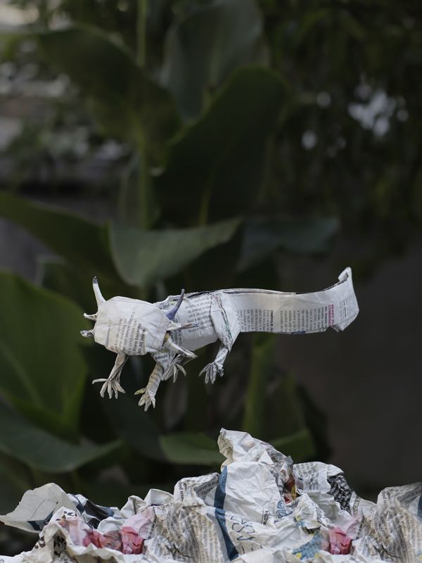 foto:José Manuel Herrera Bello - lo hecho en México