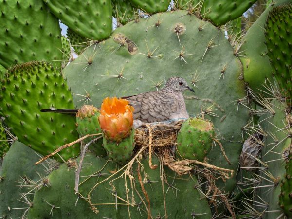 foto:Hansel Camacho Acevedo - lo hecho en México