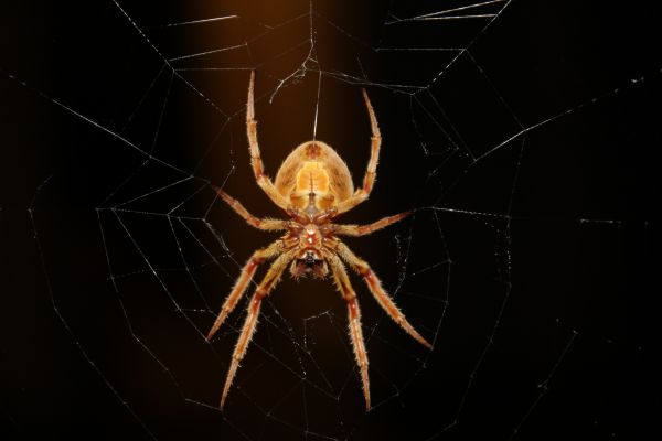foto:Jesús Antonio González López - lo hecho en México