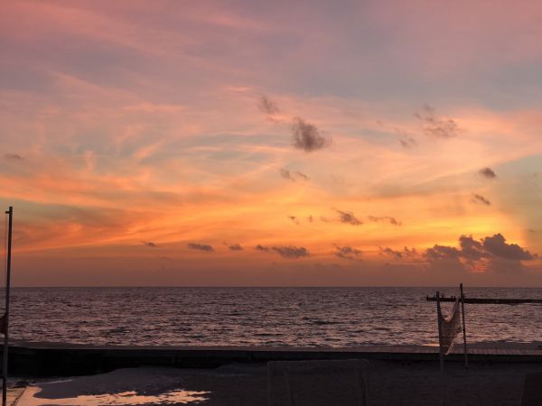 foto:mario alberto anaya angeles - lo hecho en México